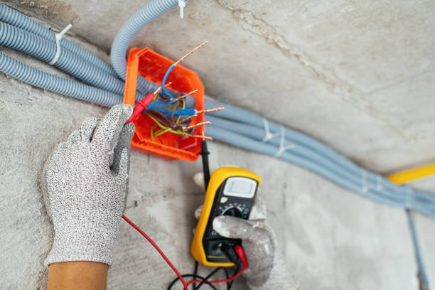 Best Local Electrician Companies  in New Eagle, PA